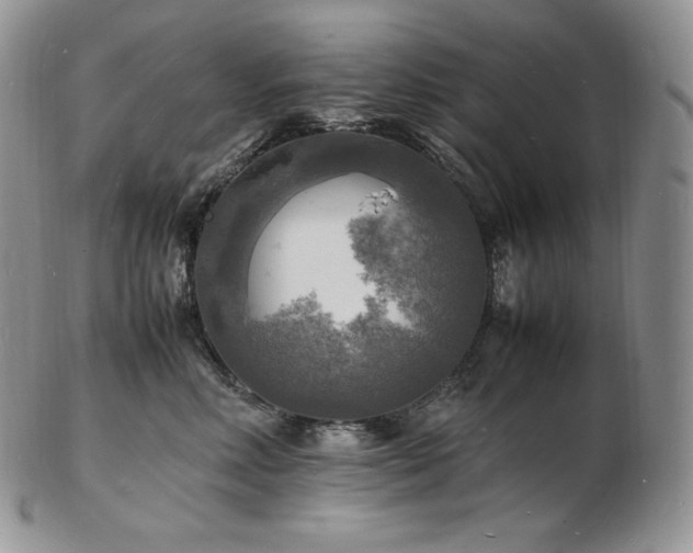 X0000103250618200808281505