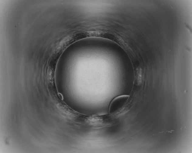 X0000103250619200808281505
