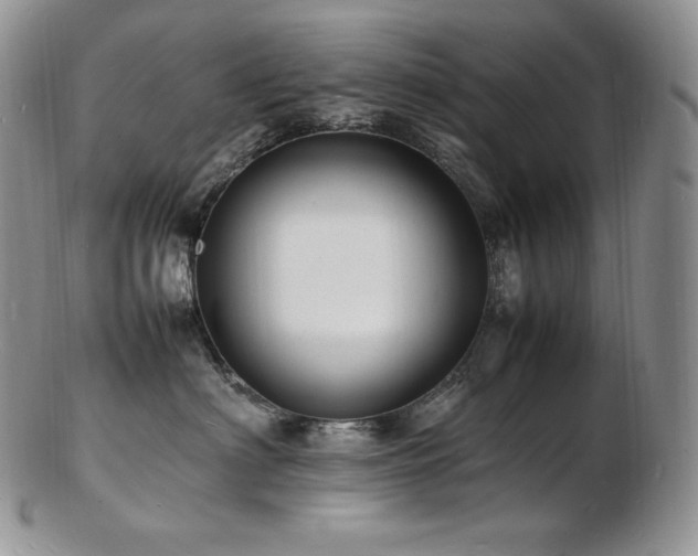 X0000103250622200808281505