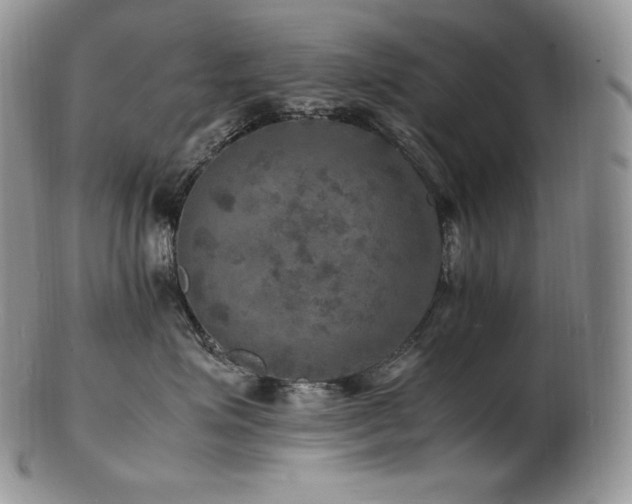 X0000103250623200808281505