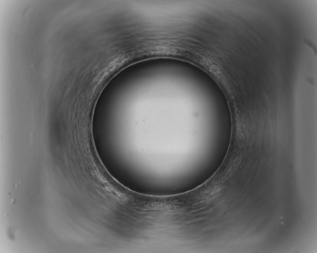 X0000103250625200808281504