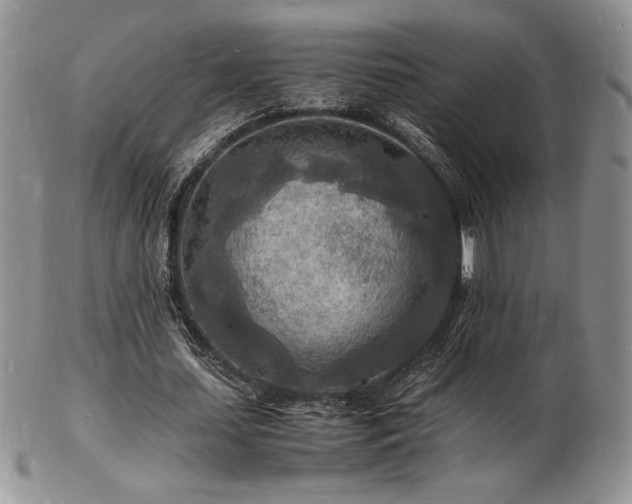 X0000103250627200808281504