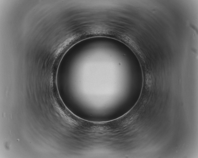 X0000103250629200808281504