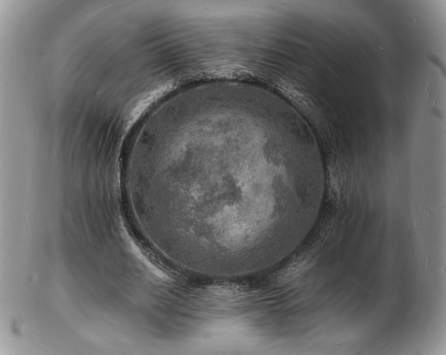 X0000103250630200808281504