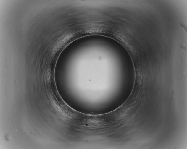 X0000103250631200808281504