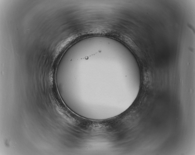 X0000103250632200808281504