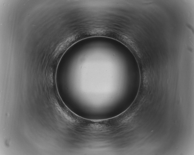 X0000103250633200808281504