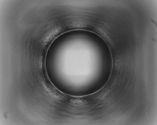 X0000103250635200808281504