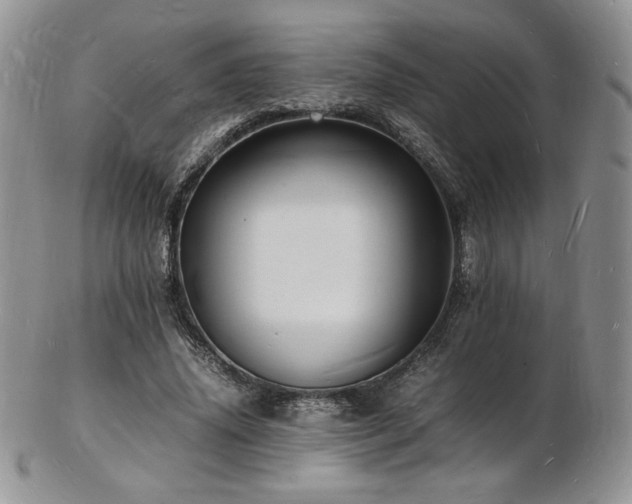 X0000103250636200808281504