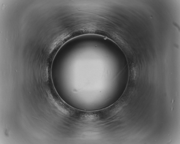 X0000103250638200808281504