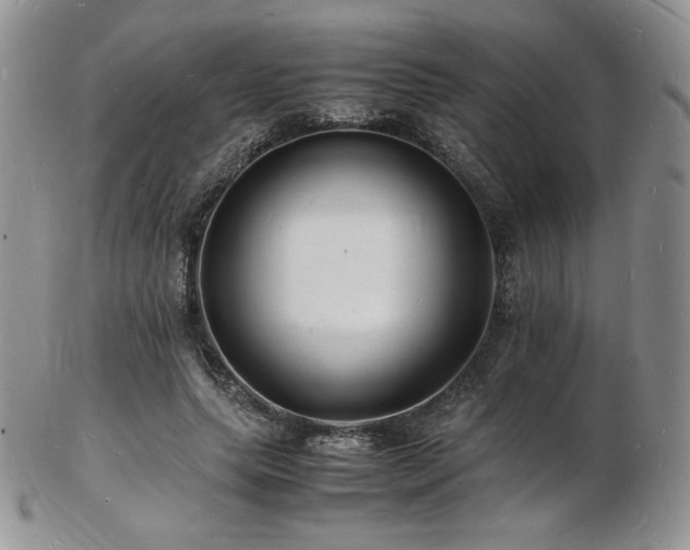 X0000103250639200808281504