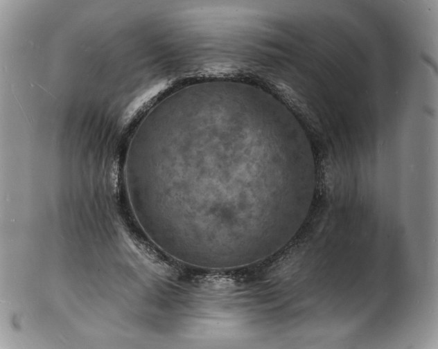 X0000103250640200808281504