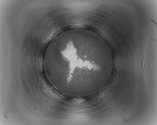 X0000103250642200808281504
