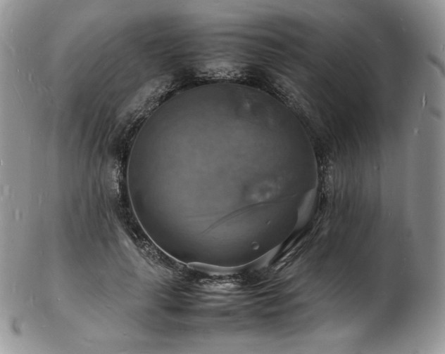 X0000103250643200808281504