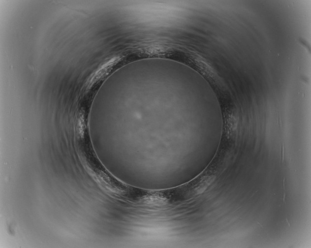 X0000103250644200808281504