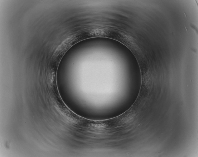 X0000103250645200808281504