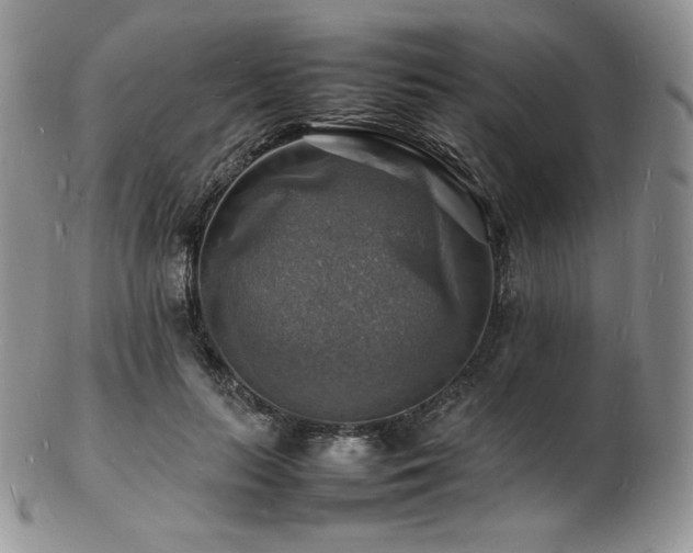 X0000103250647200808281505