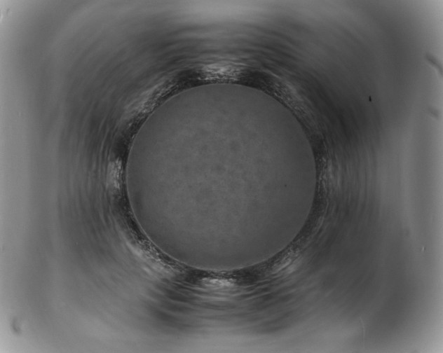 X0000103250649200808281505
