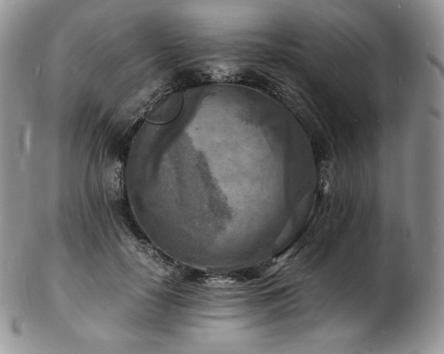 X0000103250650200808281505
