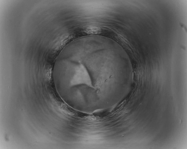 X0000103250652200808281505