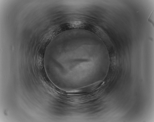 X0000103250653200808281505