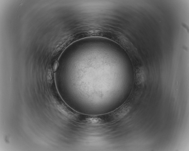 X0000103250654200808281505