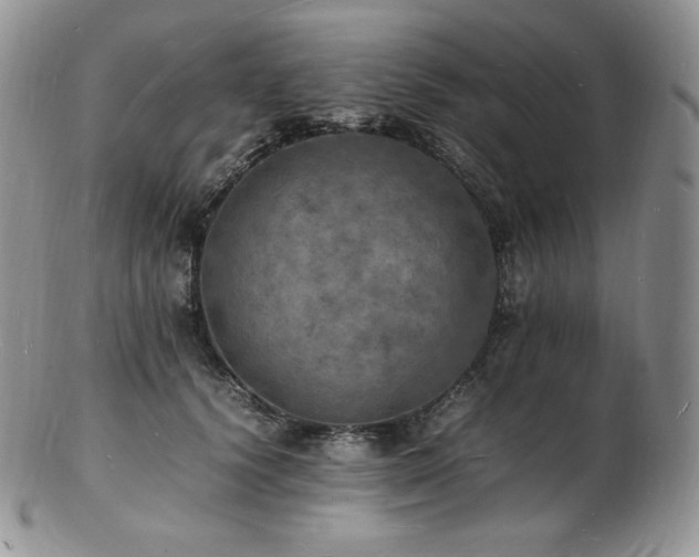 X0000103250656200808281505