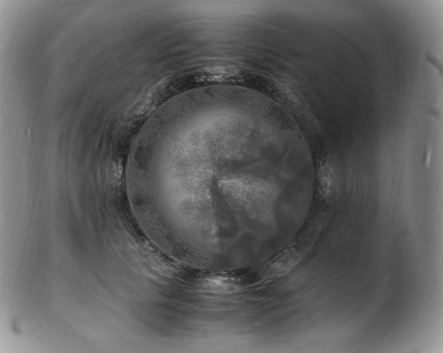 X0000103250657200808281505