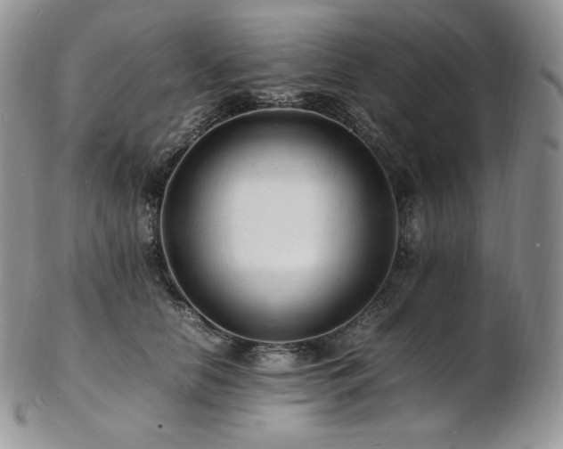 X0000103250658200808281505