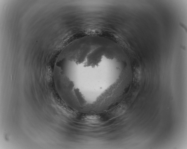 X0000103250659200808281505