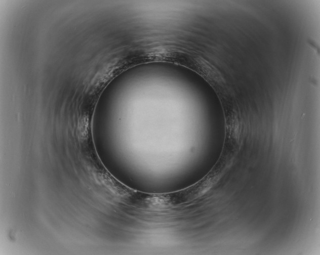 X0000103250660200808281505