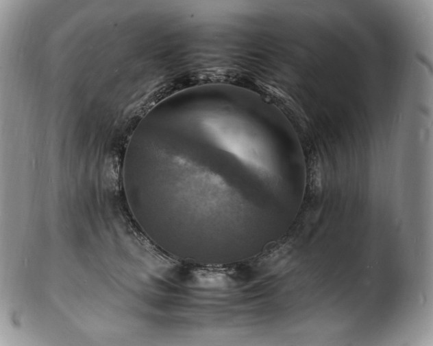 X0000103250661200808281505