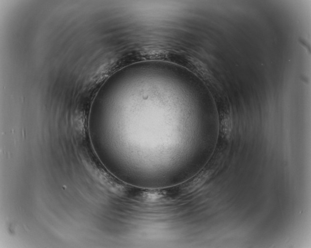 X0000103250662200808281505