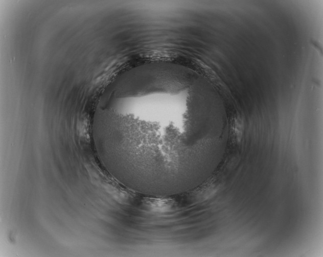 X0000103250663200808281505
