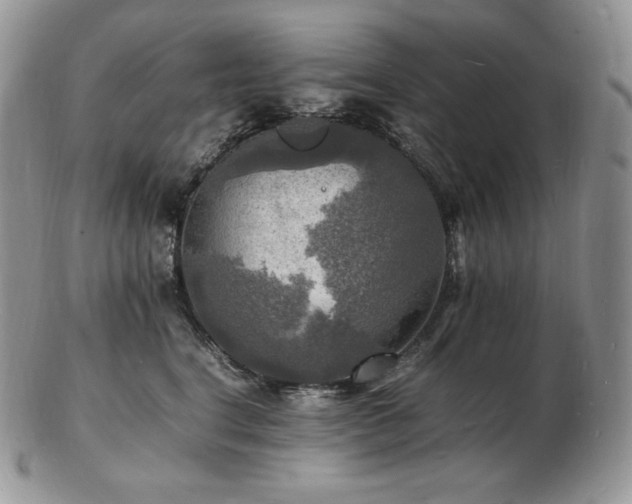 X0000103250664200808281505