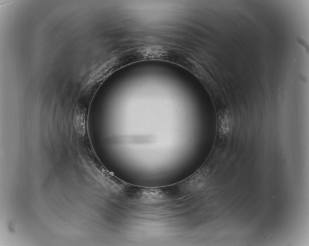 X0000103250666200808281505