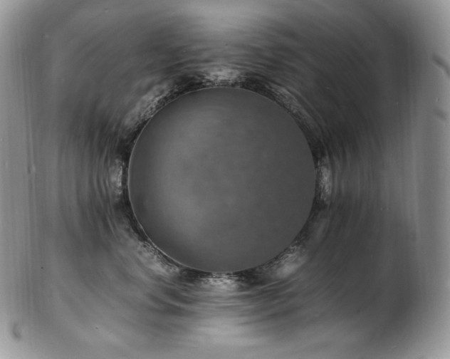 X0000103250668200808281505