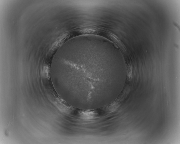 X0000103250669200808281505
