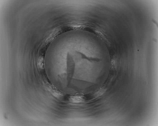 X0000103250671200808281505