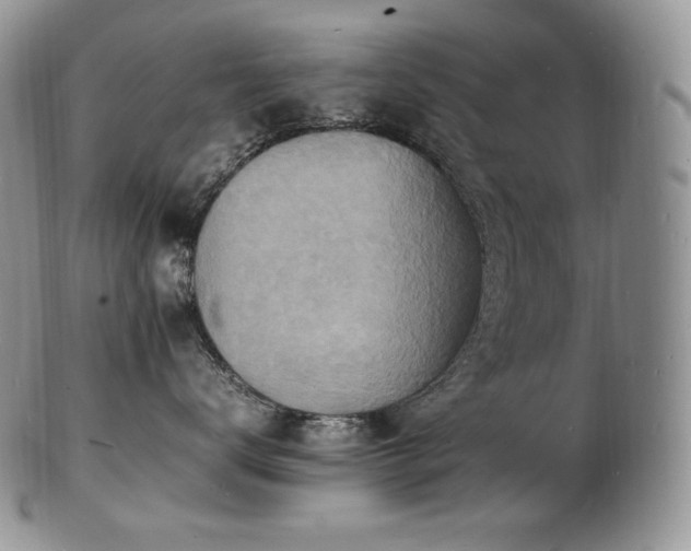 X0000103250672200808281505