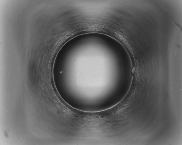 X0000103250673200808281504