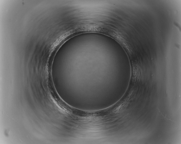 X0000103250674200808281504