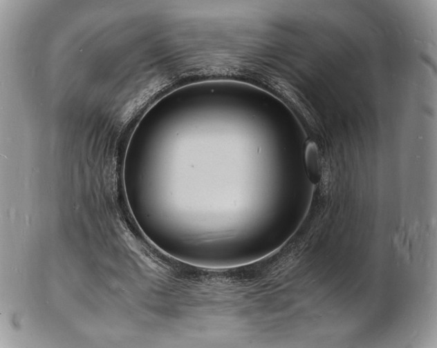 X0000103250677200808281504