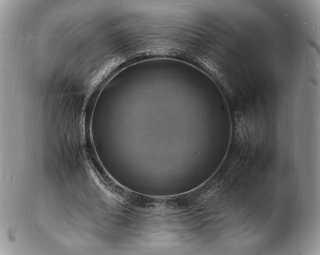 X0000103250678200808281504