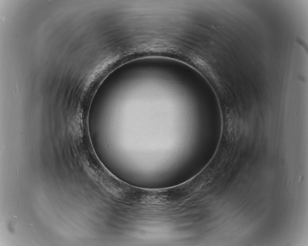 X0000103250680200808281504