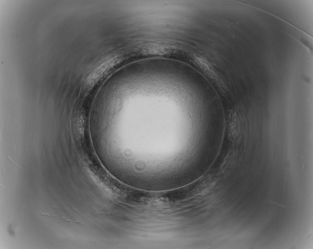 X0000103250683200808281504