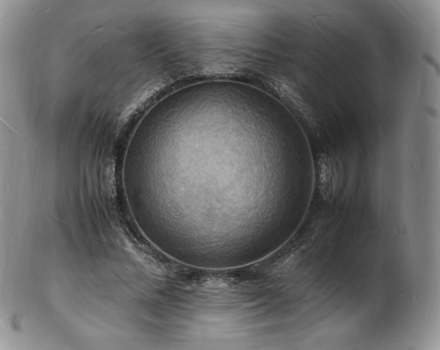 X0000103250684200808281504