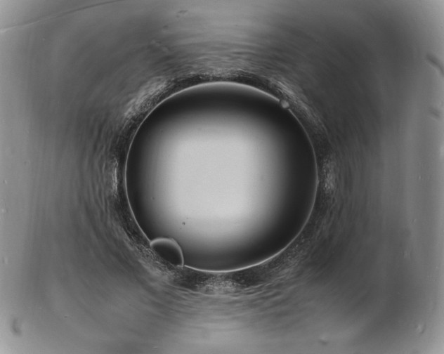 X0000103250685200808281504