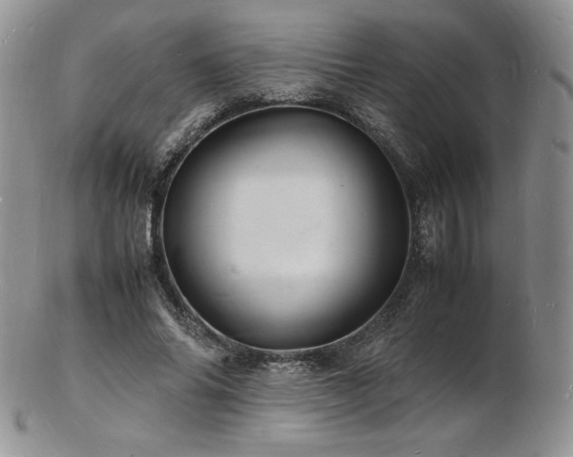 X0000103250686200808281504
