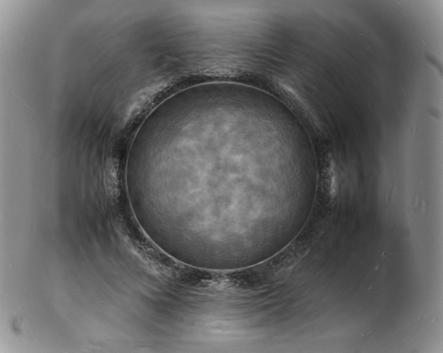 X0000103250688200808281504